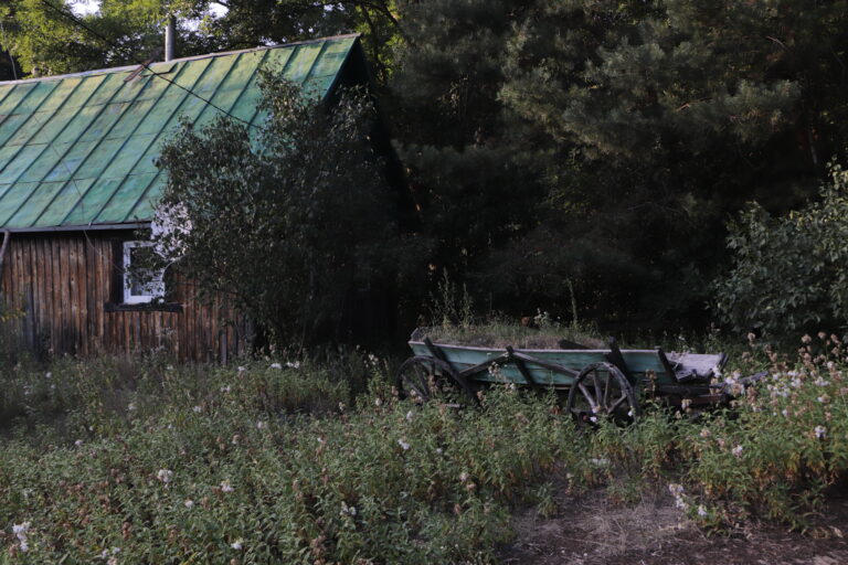 Batkivtsi-10