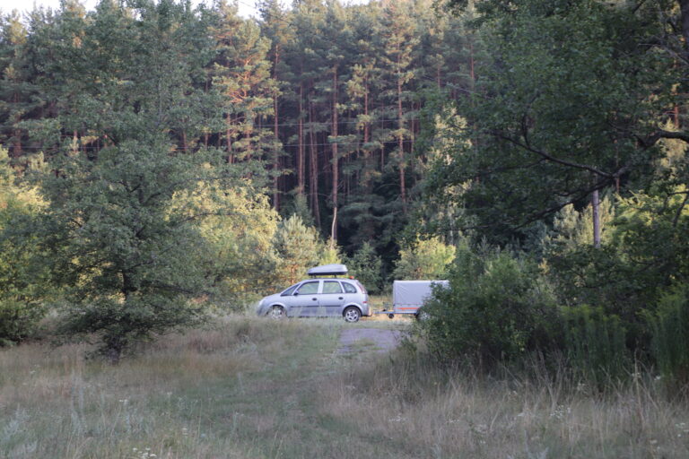 Batkivtsi-15