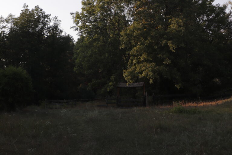 Batkivtsi-3