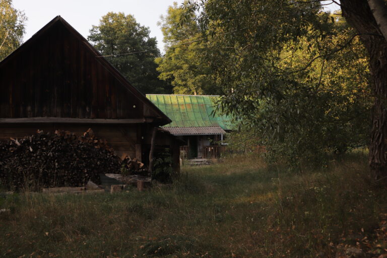 Batkivtsi-4