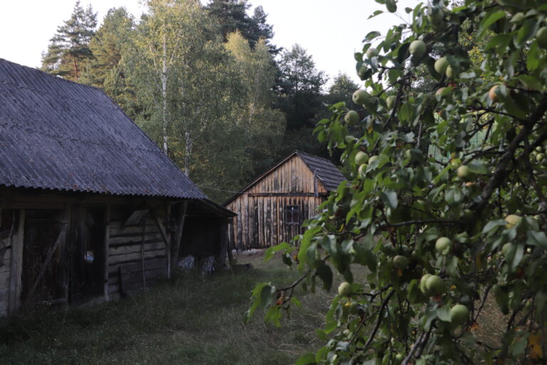 Batkivtsi-5