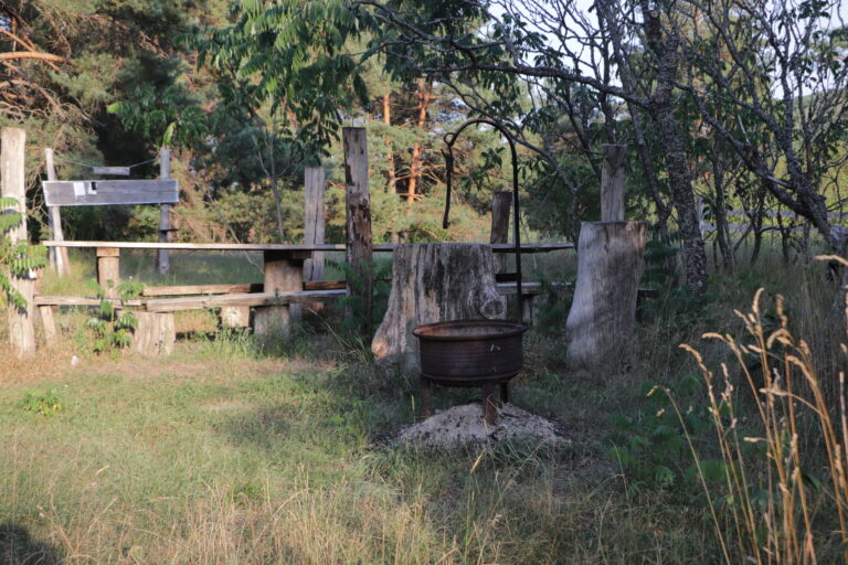 Batkivtsi-6