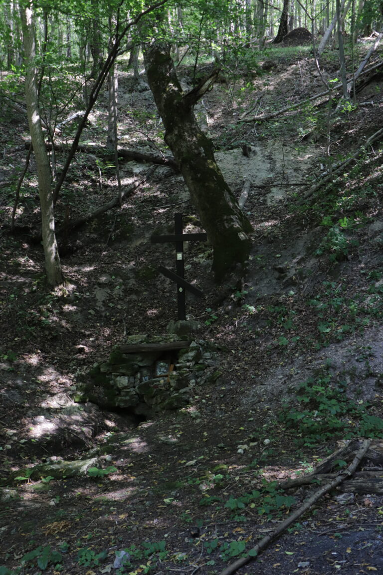 Dzerelo_Rynva-3