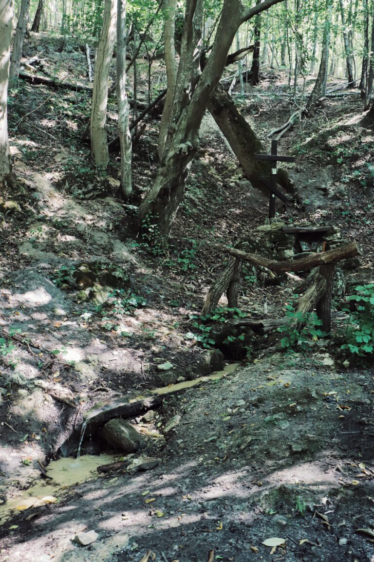 Dzerelo_Rynva-4