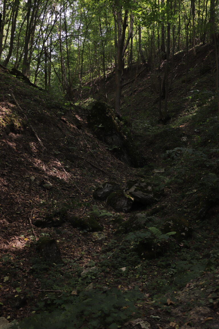 Dzerelo_Rynva-5