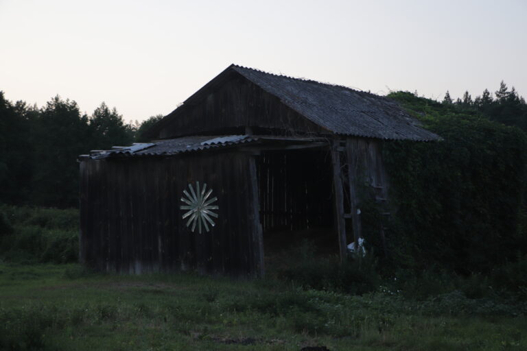 Illiashivka-4