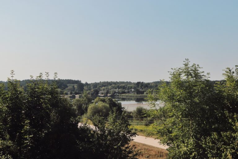 Novomalyn-6