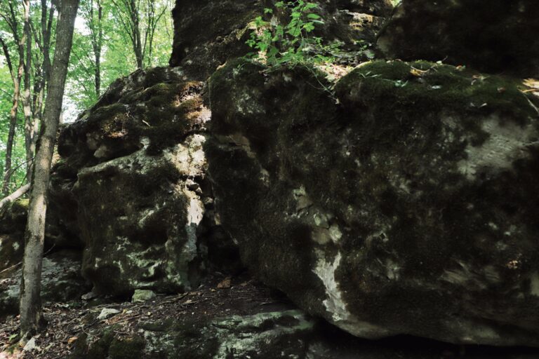 Zinkiv_kamin-3