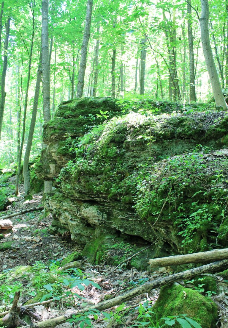 Zinkiv_kamin-5