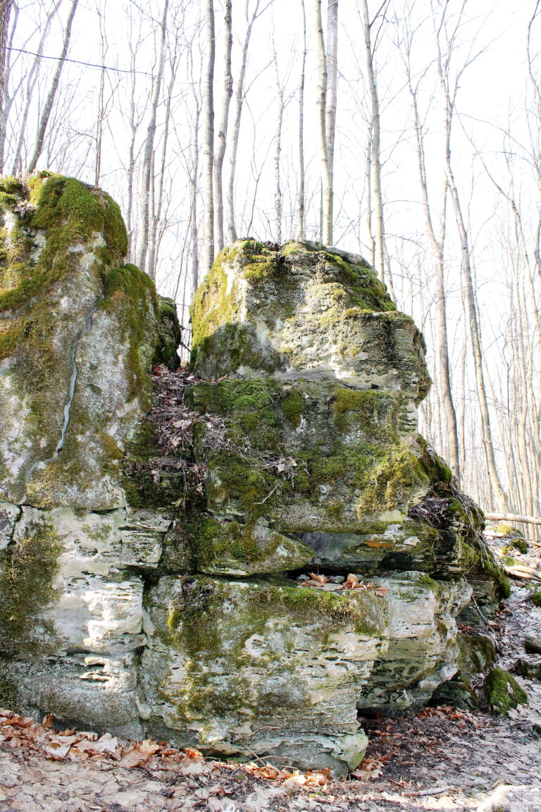 Zinkiv_kamin-7